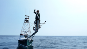 Новата поредица „Ловци с харпуни“ дебютира на 16 февруари в Max и по Discovery Channel