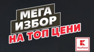 Всичко за лятото на открито на едно място в Kaufland