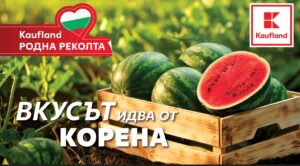 Българска диня на половин цена до 17 август в Kaufland
