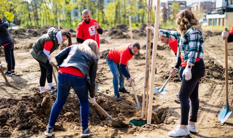 Доброволци от Kaufland засадиха 100 чинара на Гребната база в Пловдив