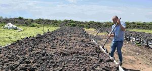 Kaufland е предал близо 500 тона плодове и зеленчуци за производство на биогаз и компост
