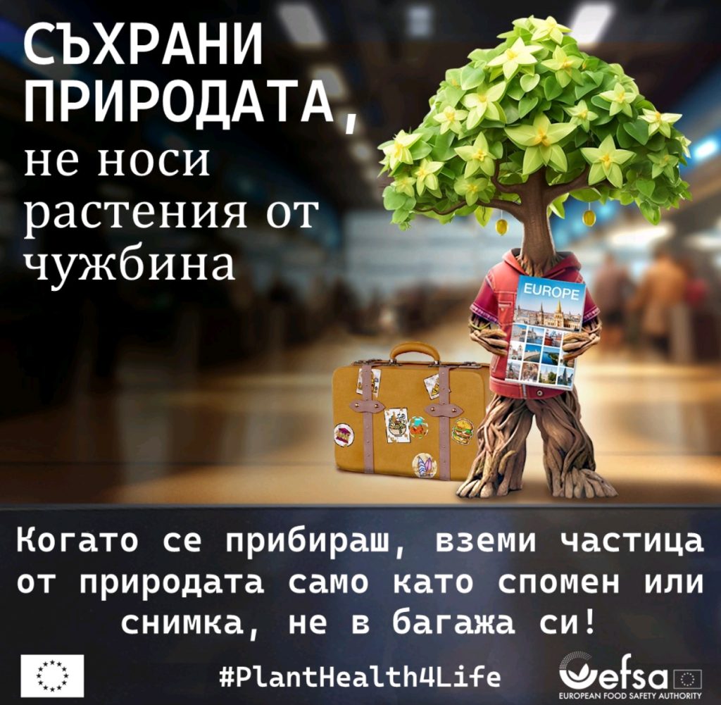Кампанията Plant Health 4 Life: 4 години, 33 държави и милиони европейци в подкрепа на растителното здраве