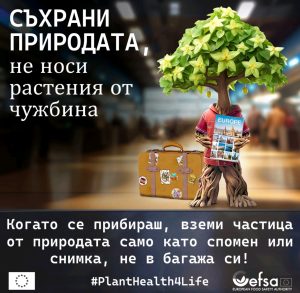 Кампанията Plant Health 4 Life: 4 години, 33 държави и милиони европейци в подкрепа на растителното здраве