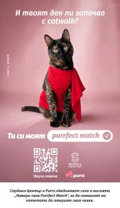 Сердика Център и Purrs търсят дом за котета с кампанията „Намери своя Purrfect Match“