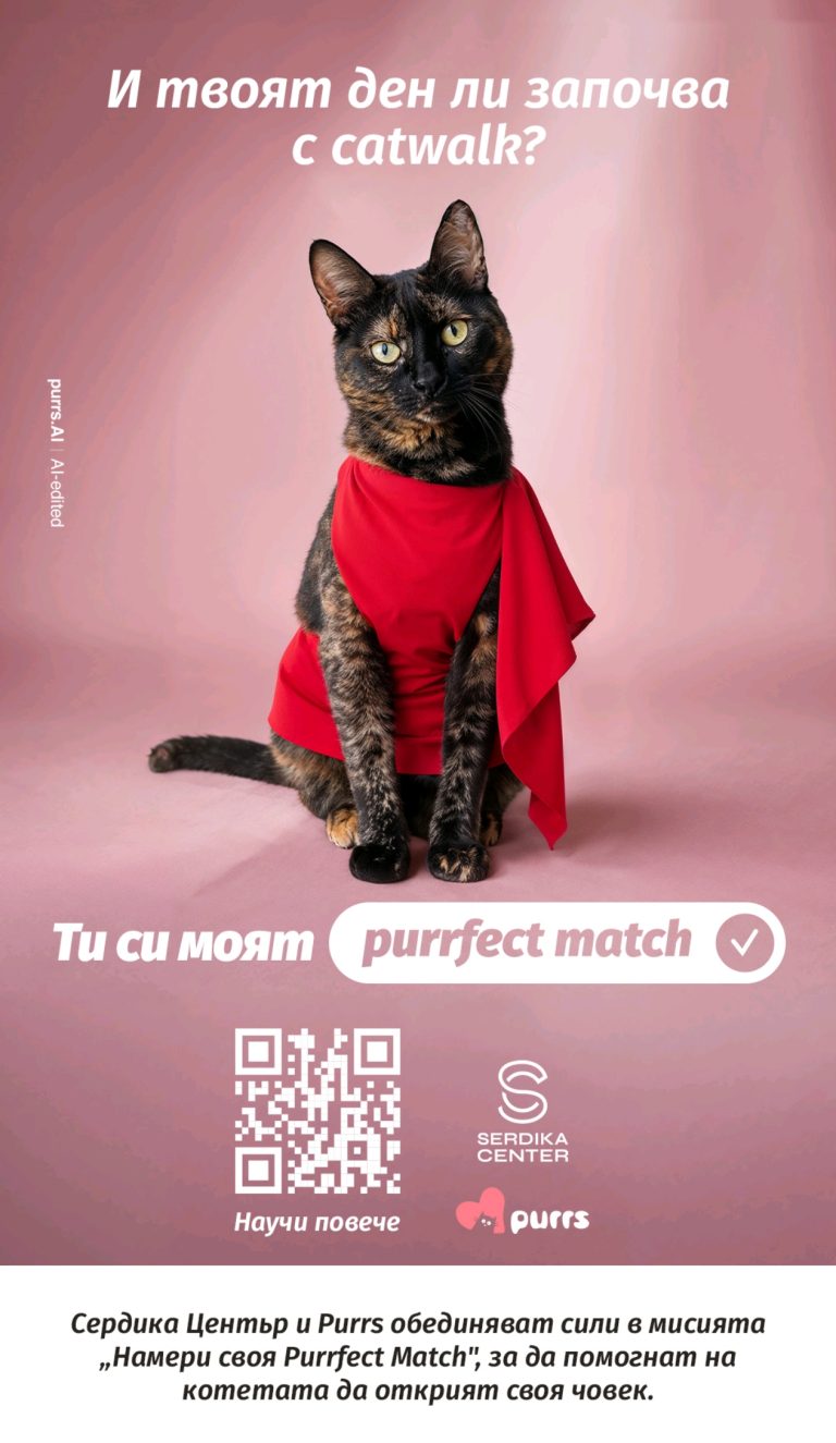 Сердика Център и Purrs търсят дом за котета с кампанията „Намери своя Purrfect Match“
